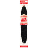 Outre X-Pression Twisted Up Crochet Braid KINKY PASSION WATER WAVE 24"